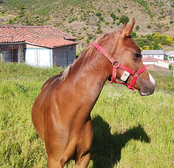imagen18