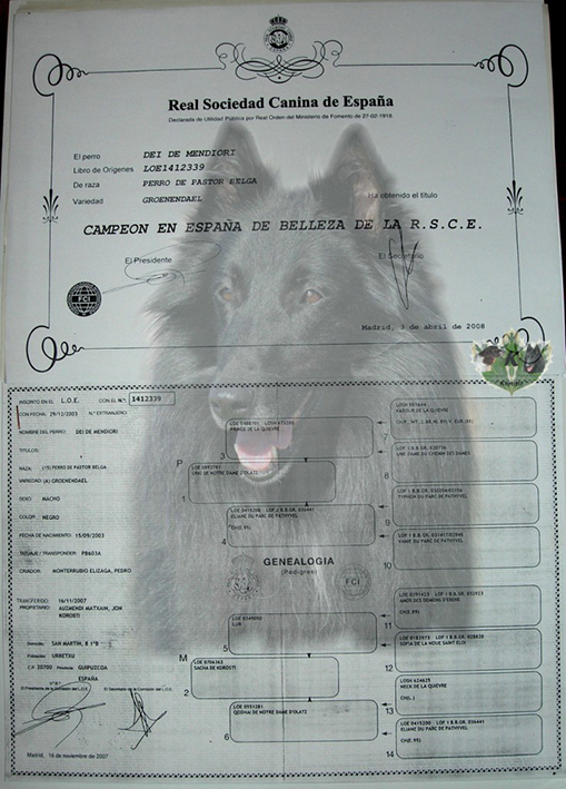 imagen4