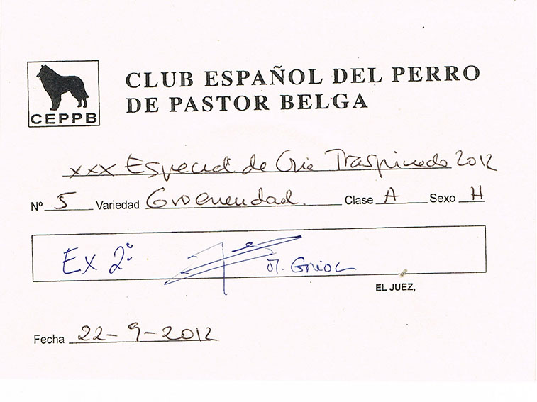 Foto 6