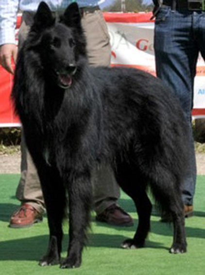 imagen8