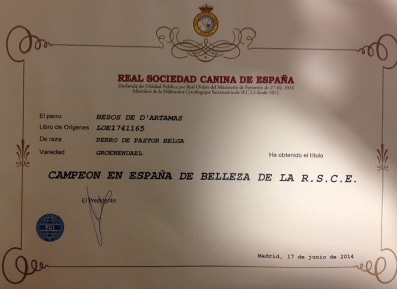 imagen6