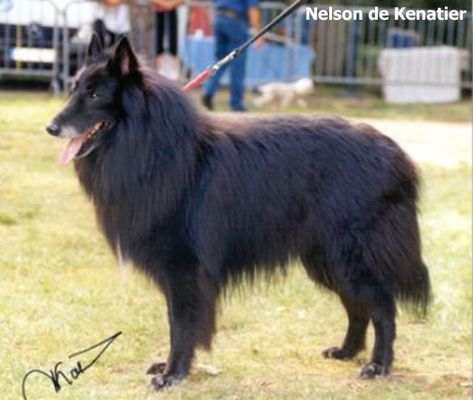 imagen13