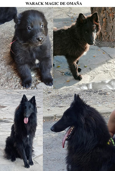 Foto 8