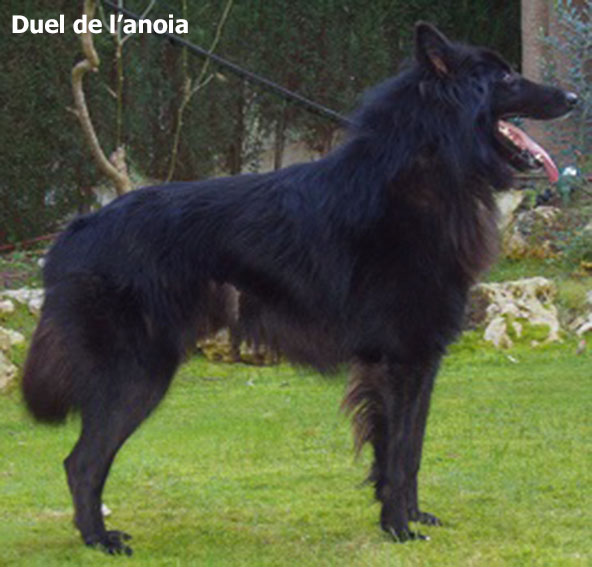 imagen6
