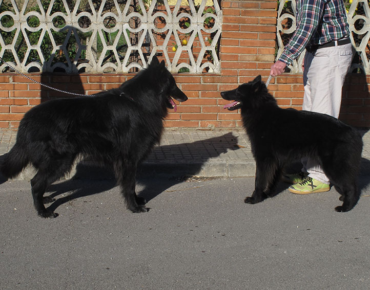 imagen5