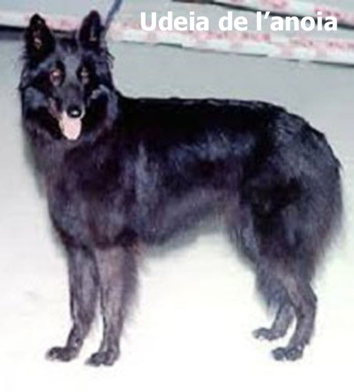 imagen8