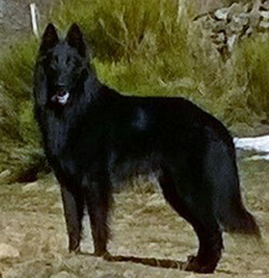 Foto 12