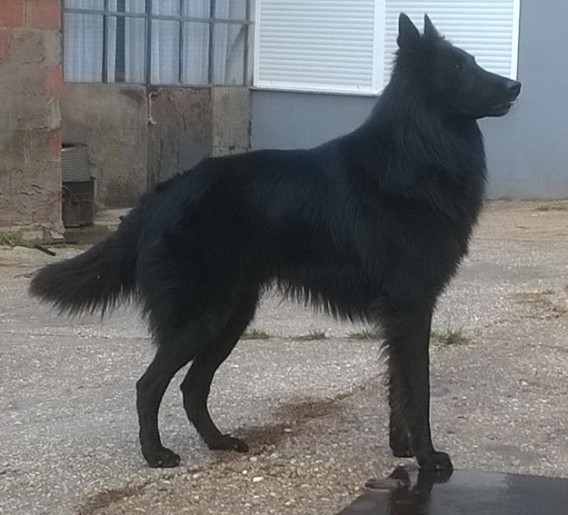 Foto 5