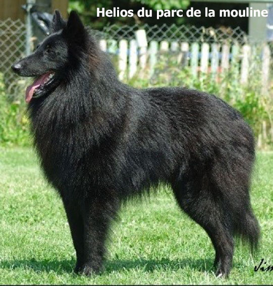 Foto 12